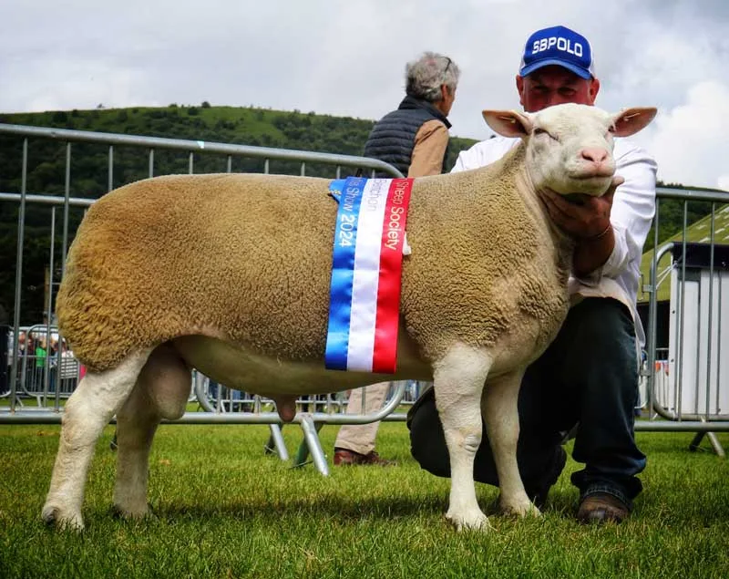Royal Three Counties Show 2024, Supreme Champion - Yarburgh Wright